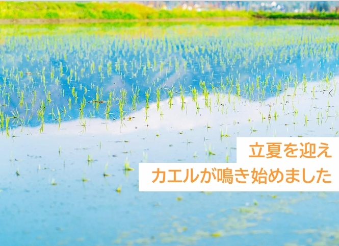 お問合せ